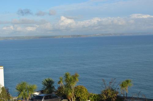 a view of a large body of water with palm trees at Skysail in Mevagissey