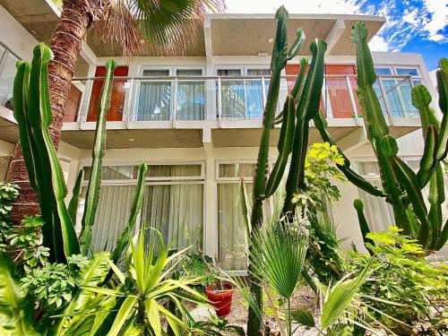 a bunch of plants in front of a building at Hotel Puerto Chinchorro in Arica