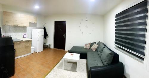 ein Wohnzimmer mit einem grünen Sofa und einer Küche in der Unterkunft Modern Apartment in Brčko