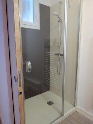 a shower with a glass door in a bathroom at Hotel le Faisan in Saint-Avertin