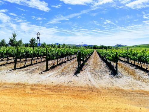 Gambar di galeri bagi Induku di Stellenbosch