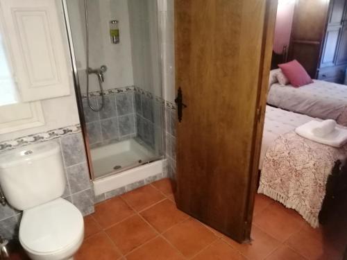 een badkamer met een toilet en een douche bij Cal Pons in Prades