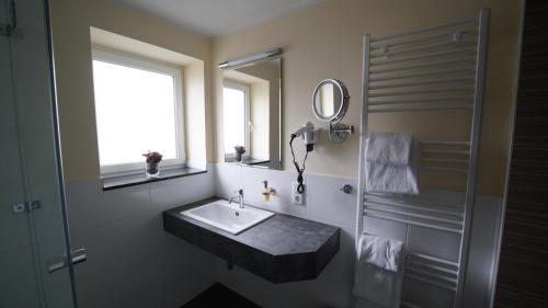 a bathroom with a sink and a mirror and a shower at Hotel Zur Heide in Aachen