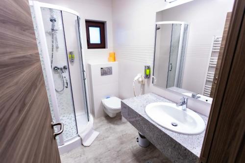 a bathroom with a sink and a shower and a toilet at Pensiunea Bradului in Colibiţa