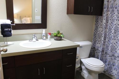 a bathroom with a sink and a toilet and a mirror at Old Fort Loft King & Queen suites nearest accomodation to Marshals Museum power your EV for free! in Fort Smith