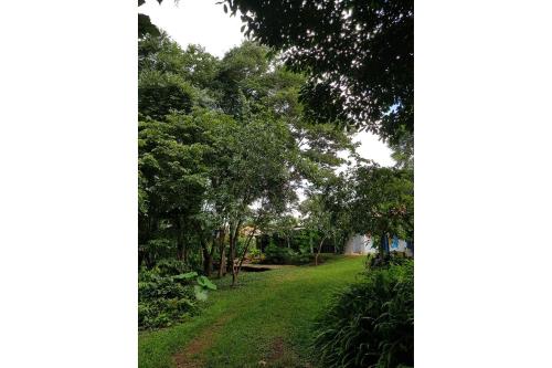 a path through a park with trees and grass at Pousada Luz do Jamacá in Chapada dos Guimarães