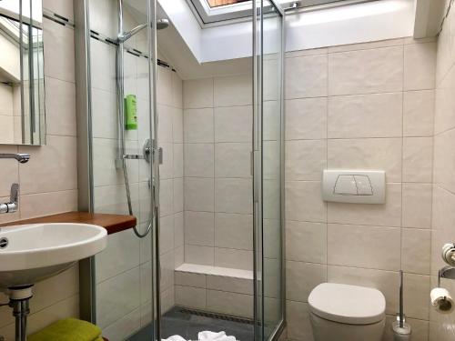 a bathroom with a shower and a toilet and a sink at Gästehaus Seeklause in Schwangau