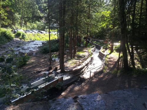 a path in a forest with trees and a river at Villa Hubertus in Ortisei