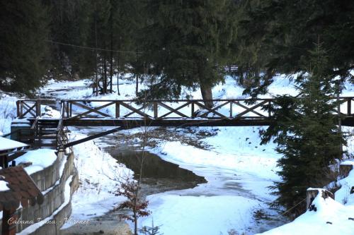 un puente sobre un río en la nieve en Cabana Ioana, en Voroneț