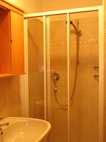 a bathroom with a shower and a sink at Baita al Pian in Bormio