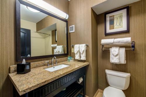 a bathroom with a sink and a toilet and a mirror at Holiday Inn Arlington Northeast, an IHG Hotel in Arlington