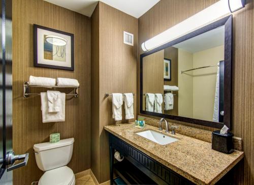 Holiday Inn Arlington Northeast, an IHG Hotel Image