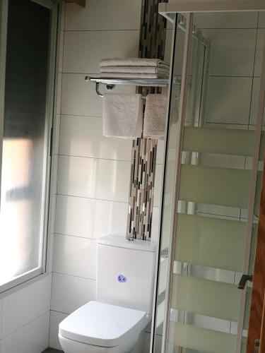 a bathroom with a toilet and a glass shower at Pension Santiago in Burgos