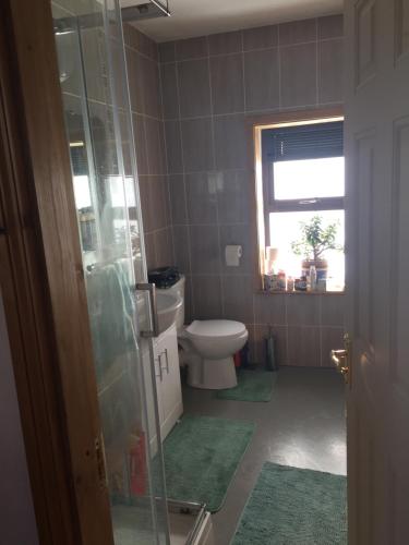 a bathroom with a toilet and a window at Redington House SelfCatering accommodation in Cobh