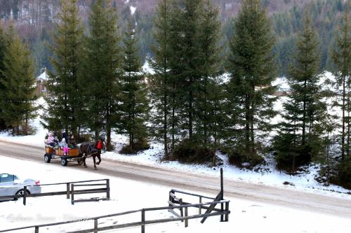 a horse drawn carriage on a snow covered road at Cabana Ioana in Voronet