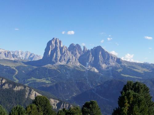 a mountain range with trees in the foreground at Villa Hubertus in Ortisei