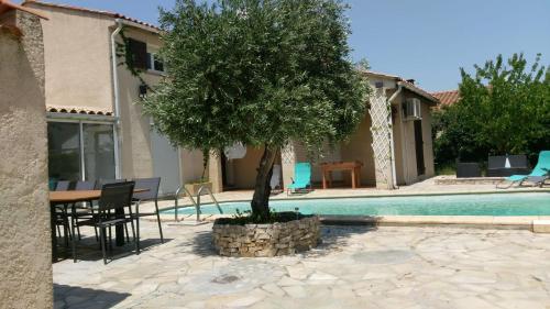 un arbre dans un pot à côté d'une piscine dans l'établissement maison avec piscine, à Lézignan-Corbières