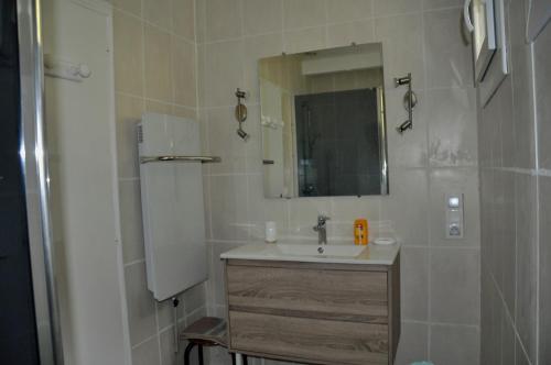 bagno con lavandino e specchio di Le clos de Cantemerle a Saint-Sauveur
