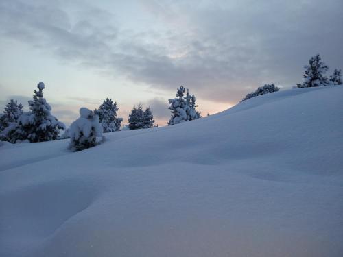 a snow covered hill with trees in the background at Villa Hubertus in Ortisei