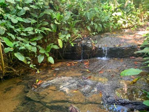 a stream of water on top of a rock at Private jungle “Loft del Rio” river access in Uvita