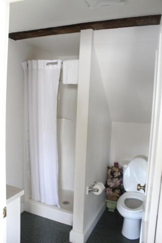a bathroom with a toilet with a shower curtain at Old Orchard Beach Inn in Old Orchard Beach