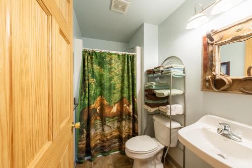 a bathroom with a toilet and a sink and a mirror at Spur of the Moment Ranch in Mountain