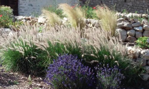 a garden with tall grass and purple flowers at Les Bories en Champagne in Montlevon
