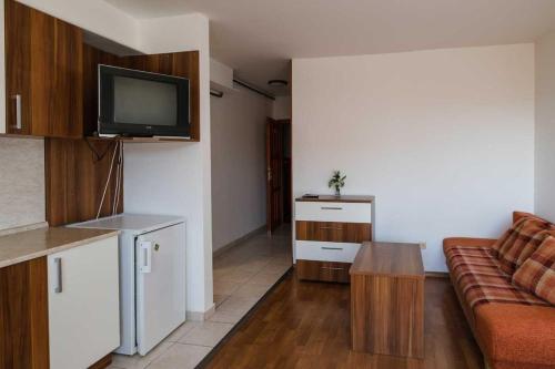 a living room with a couch and a tv in it at Penzion U Holuba in Hradčovice