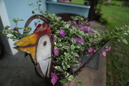 a bird house sitting next to a potted plant at Sítio Pássaro Ímpar - Para pousar e repousar in Curuçá