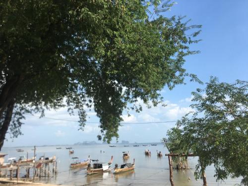 Phumiphat resort Koh Mook – Photos 3