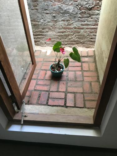 Fotografie z fotogalerie ubytování Secret House v destinaci Dikwella