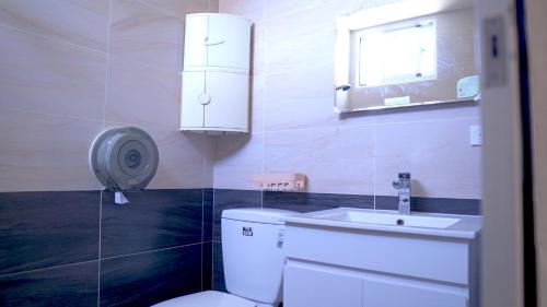 關山的住宿－清水莊民宿，一间带卫生间、水槽和镜子的浴室