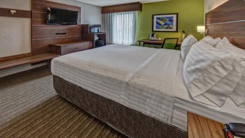 a hotel room with a large bed and a television at Holiday Inn Express Memphis Medical Center - Midtown by IHG in Memphis
