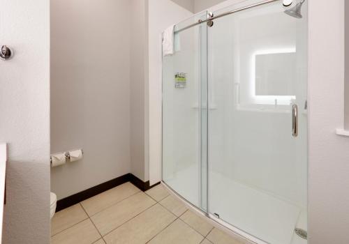 a bathroom with a shower with a glass door at Holiday Inn Express & Suites - Denton North by IHG in Denton