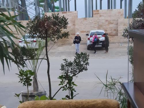 Gallery image of Dolphin Suites Hotel in Jericho