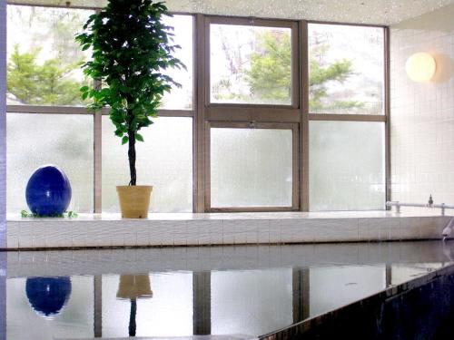 a room with a potted plant and a window at Hotel Masyu in Teshikaga
