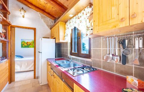 Virtuvė arba virtuvėlė apgyvendinimo įstaigoje Eco holiday house Cive