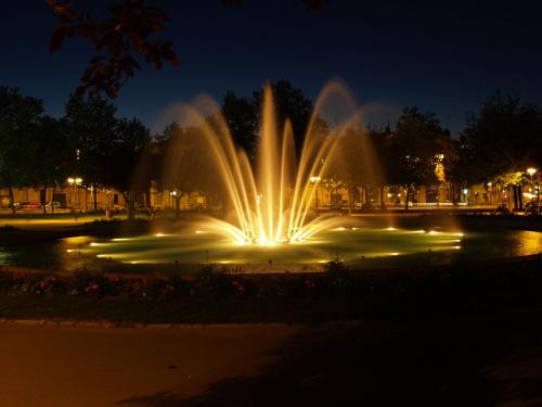 Una fuente con luces en un parque por la noche en Maponi, en Dijon