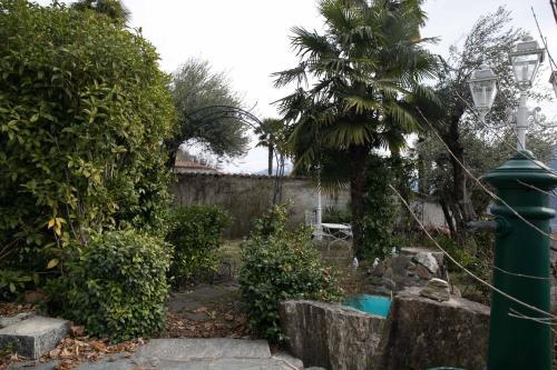 a green fire hydrant in a yard with a palm tree at Casa Alma Grotto in Brione sopra Minusio