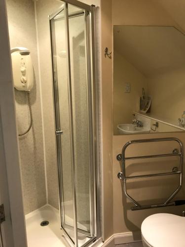 a bathroom with a shower and a toilet and a sink at Thurdistoft Farmhouse in Thurso