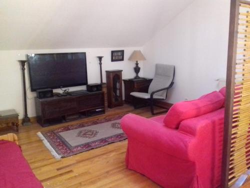 ein Wohnzimmer mit einem rosa Sofa und einem Flachbild-TV in der Unterkunft Appartement en loft 50m2 dans maison avec chambre en mezzanine et canapes lits dans salon in Saint-Pierre-de-Chartreuse