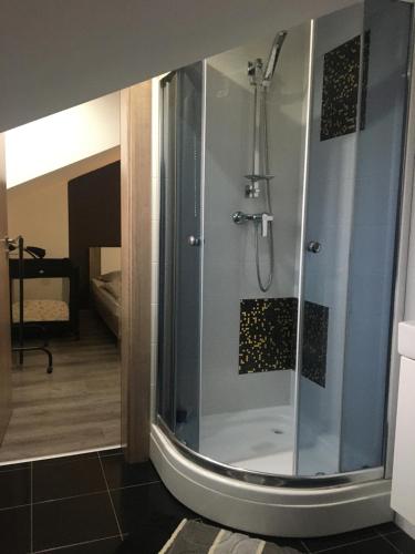 La salle de bains est pourvue d'une douche avec une porte en verre. dans l'établissement Apartmán Tatry-Poprad, à Poprad