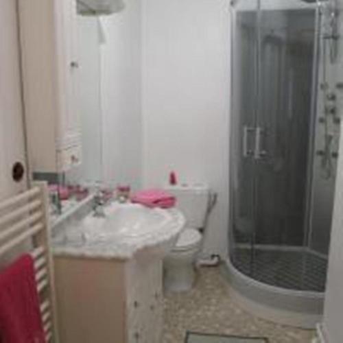 a bathroom with a sink and a shower and a toilet at studios les Hortensias in Lillers