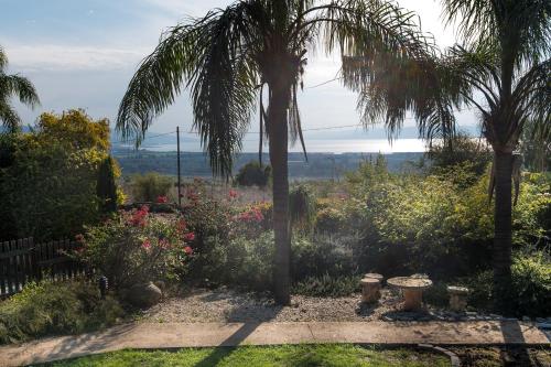 a garden with a palm tree and flowers at Nof Kinneret Cabins in Had Nes