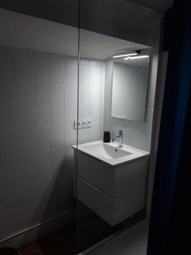 a bathroom with a sink and a mirror at Appartement indépendant in Saint-Gildas-de-Rhuys