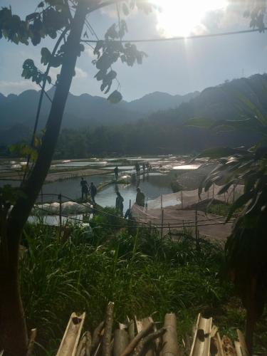 Landskap semula jadi dekat dengan homestay