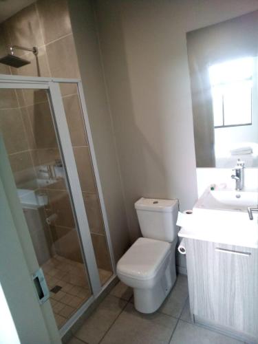 a bathroom with a toilet and a shower and a sink at Rosebank Accommodation in Johannesburg