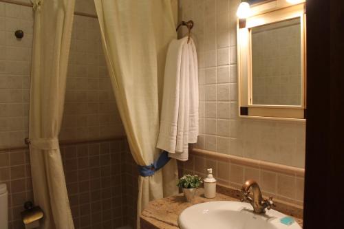 a bathroom with a sink and a shower curtain at Apartamento Rurales Rosendo: La Zajareña in Capileira