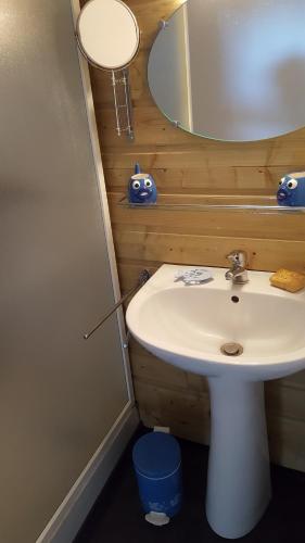 ein Bad mit einem Waschbecken und einem Spiegel in der Unterkunft Logement à la ferme in Hangest-en-Santerre