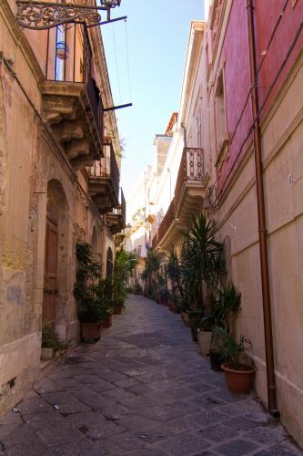an alley with potted plants on the side of a building at La Via della Giudecca in Siracusa